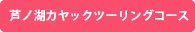 芦ノ湖カヤックツアー